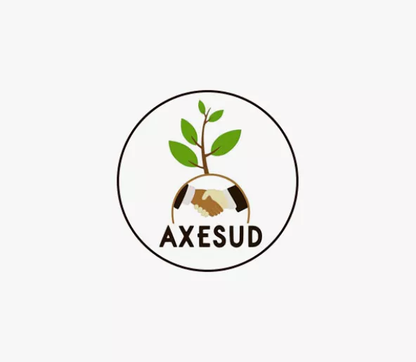 Logo - Audencia AXESUD